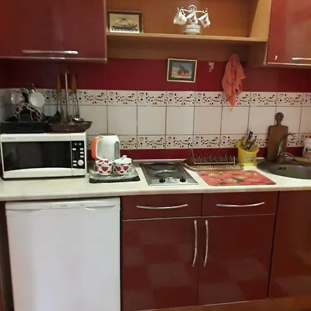 Apartment пушкинская 1 комнатная, центр *