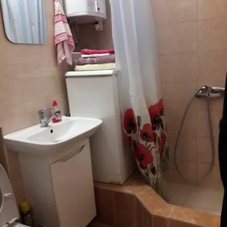 пушкинская 1 комнатная, центр Apartment